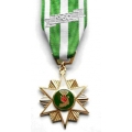 MEDC12 South Vietnam Campaign Medal